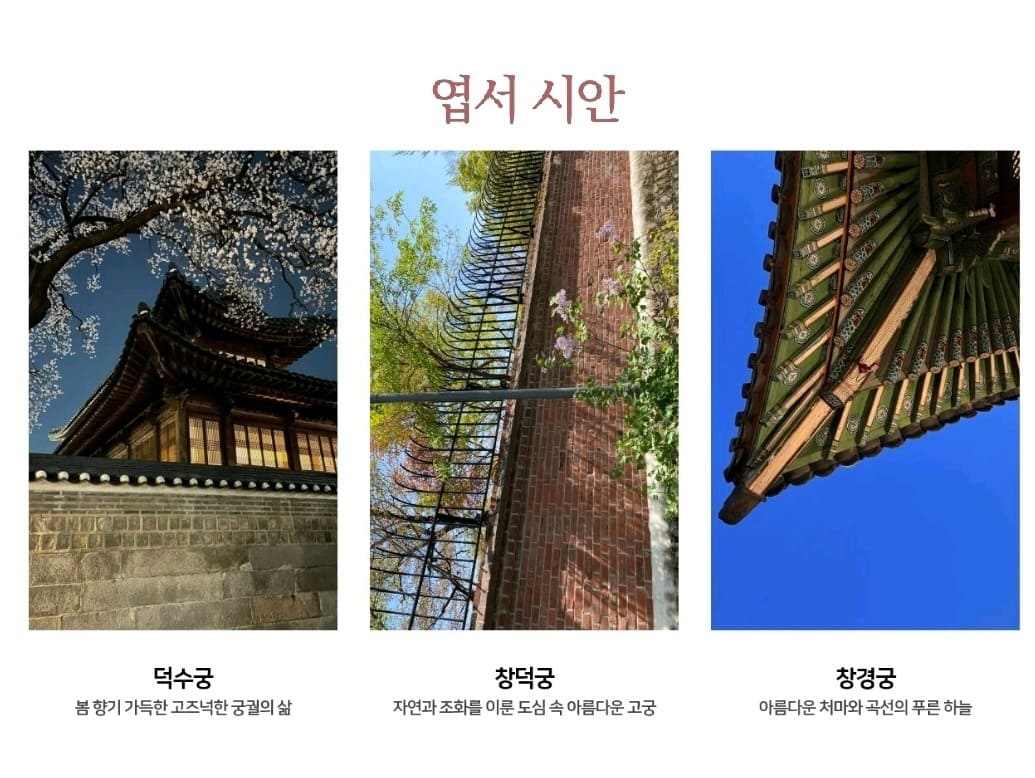 역사어게인 엽서 시안.jpg